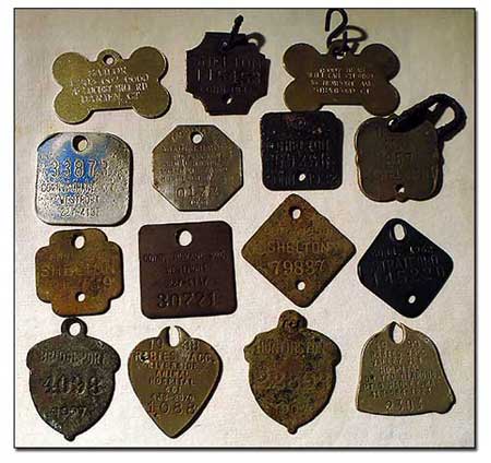 Dog tag license collection